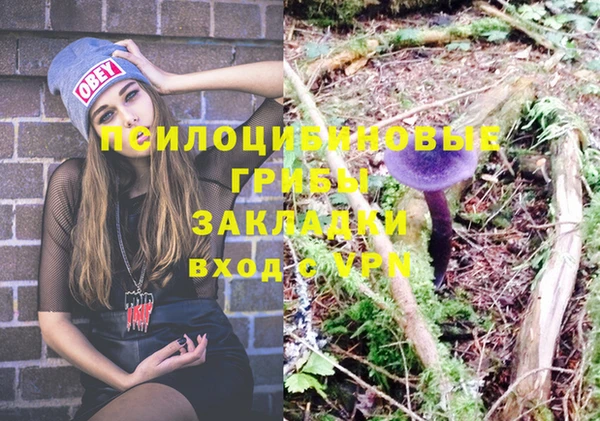 МДПВ Вязники