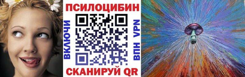 Галлюциногенные грибы Psilocybine cubensis Снежинск