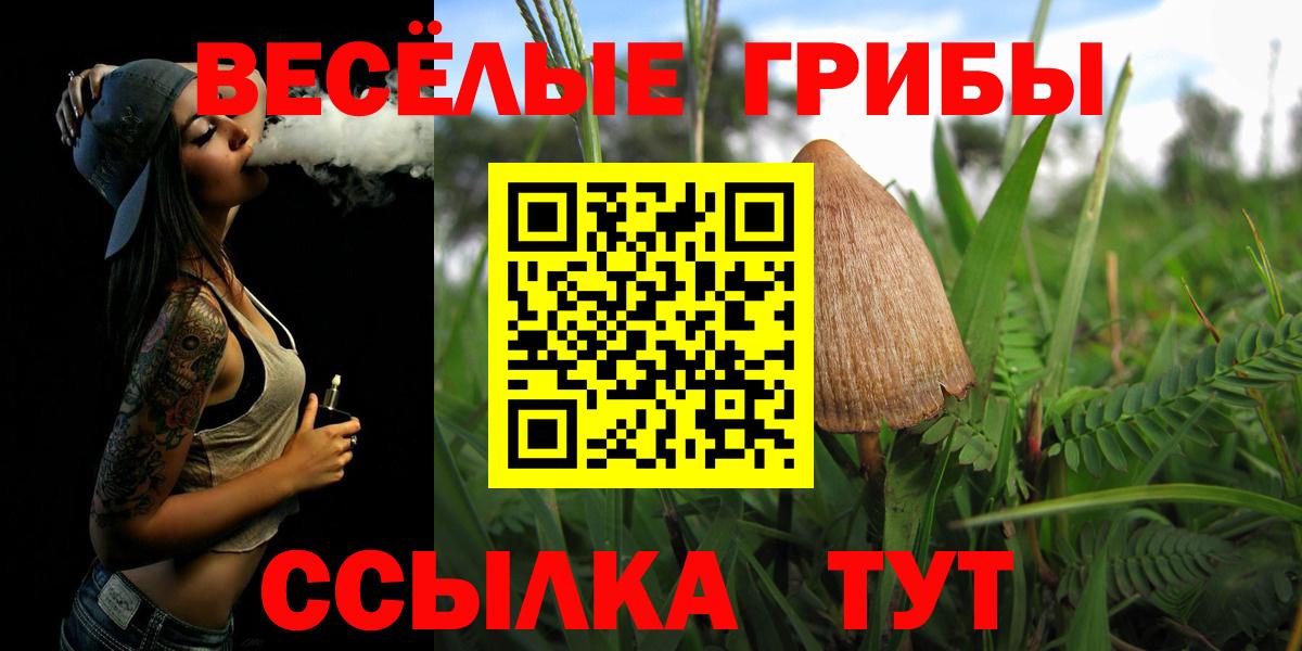 Снежинск  хочу   Вход с VPN  Псилоцибиновые грибы ЛСД  Галлюциногенные грибы мухоморы 
